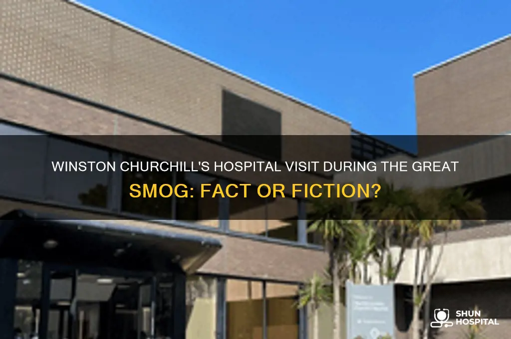 did winston churchill visit the hospital during the smog
