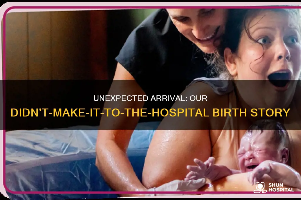 didn t make it to the hospital birth story