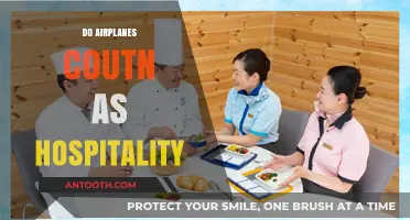 Are Airplanes Considered Hospitality? Exploring In-Flight Service Dynamics