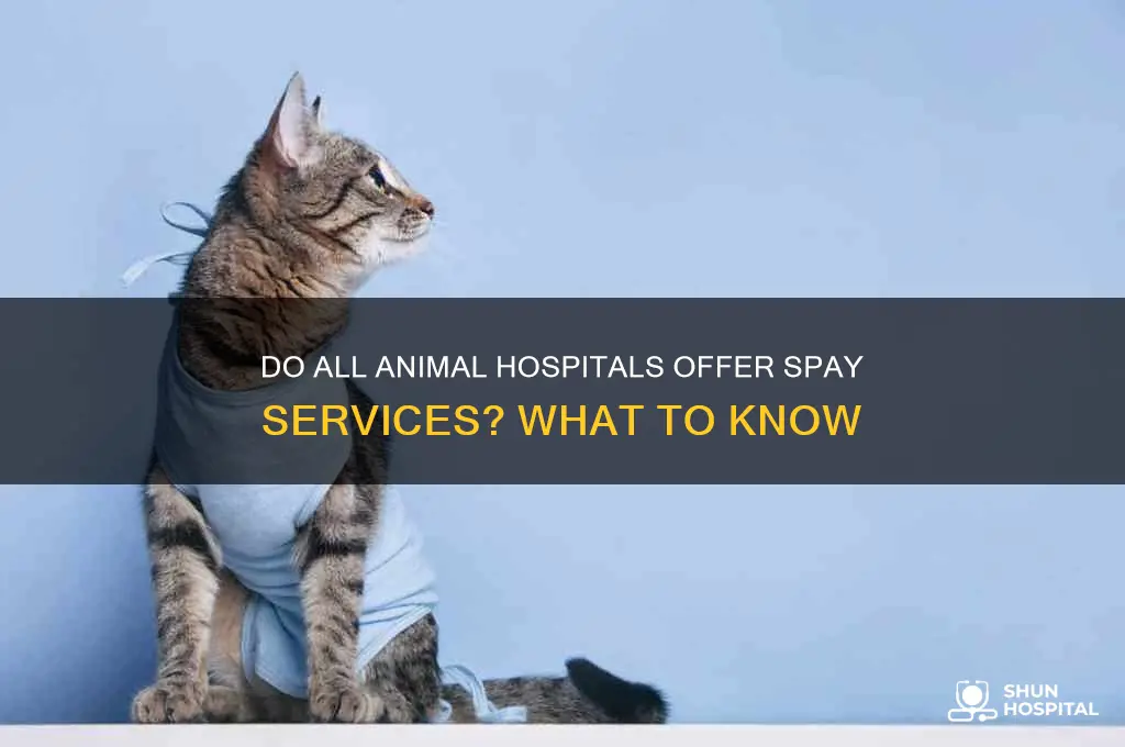 do all animal hospitals spay