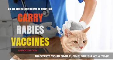 Do All Emergency Rooms Stock Rabies Vaccines? What You Need to Know