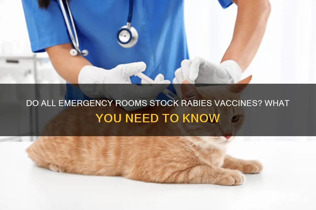 do all emergency rooms in hospitals carry rabies vaccines