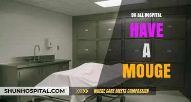 Exploring the Presence of Morgues Across All Hospitals