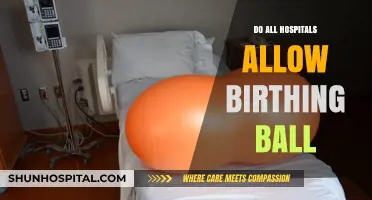 Exploring Birthing Ball Policies Across Different Hospitals