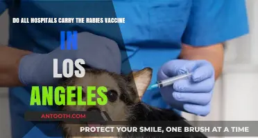 Do Los Angeles Hospitals Stock Rabies Vaccines? What You Need to Know