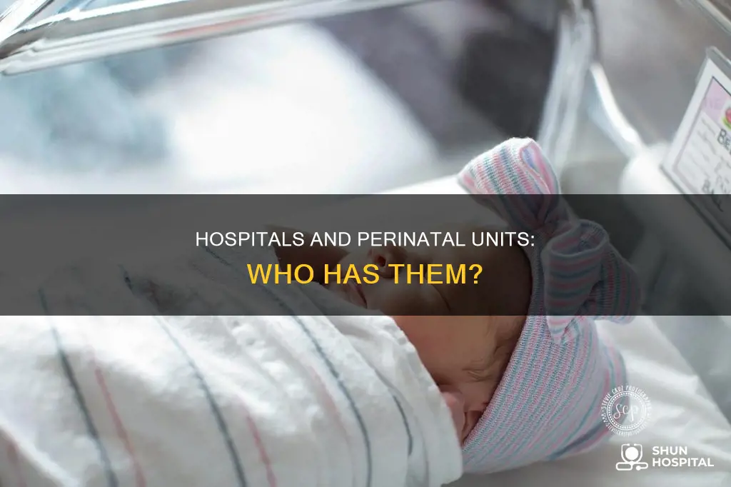 do all hospitals have a perinatel unit
