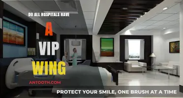 Luxury Hospital Rooms: Are VIP Wings Common?
