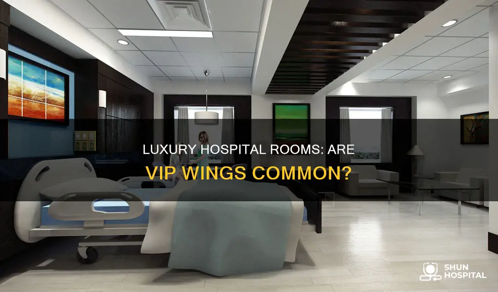 do all hospitals have a vip wing