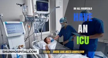 Exploring Critical Care Access: Do All Hospitals Have an ICU?