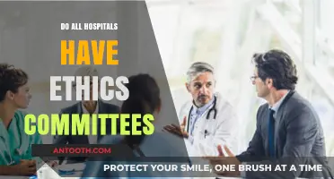 Exploring the Ethics Committee Landscape in Modern Healthcare Facilities
