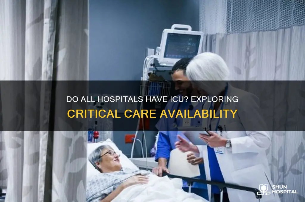 do all hospitals have icu
