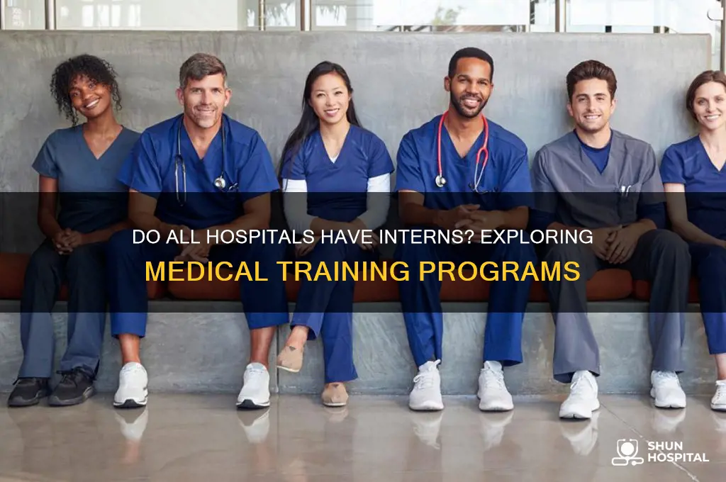 do all hospitals have interns