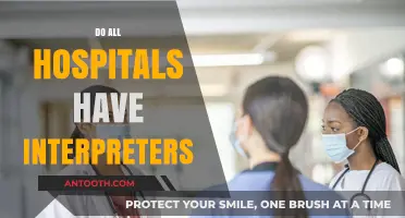 Do All Hospitals Provide Interpreters? Exploring Language Access in Healthcare