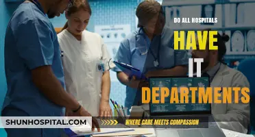 Exploring the Digital Divide: Do All Hospitals Have IT Departments?
