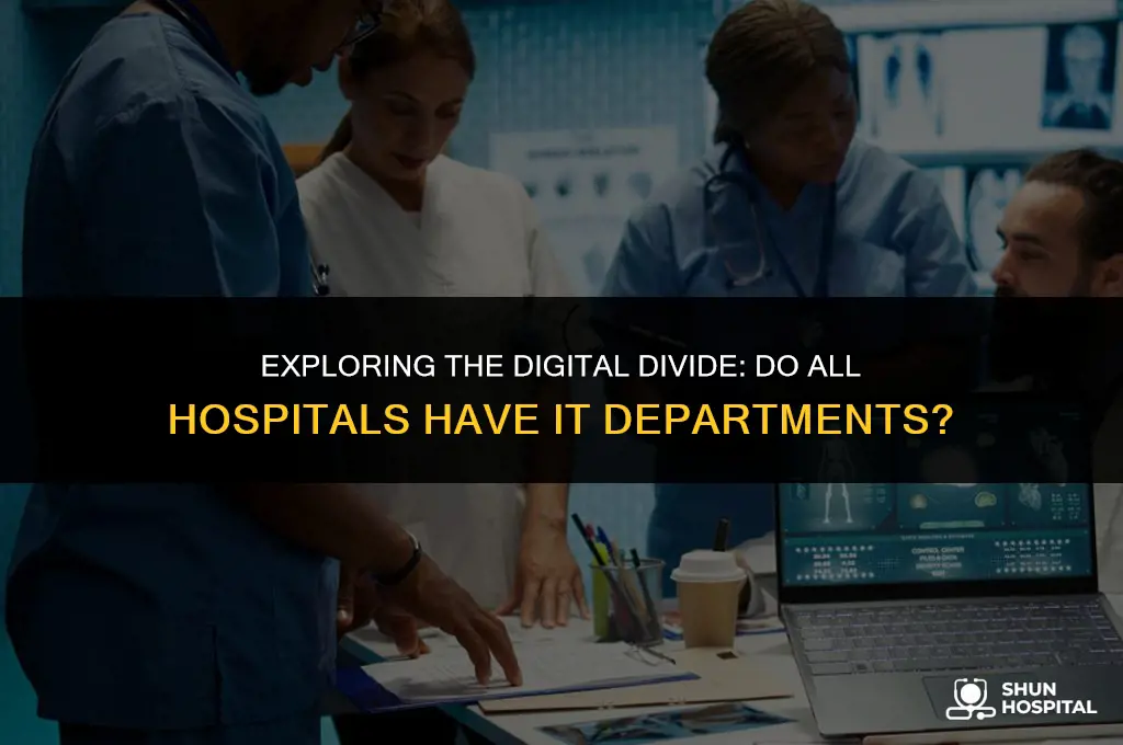 do all hospitals have it departments