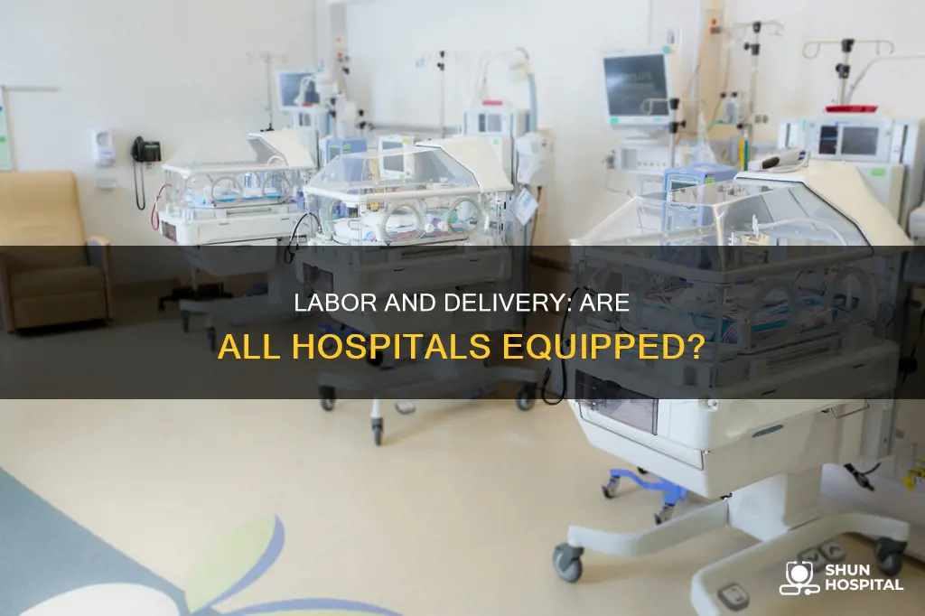 do all hospitals have labor and delivery