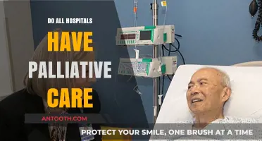 Exploring Palliative Care Availability Across All Hospitals