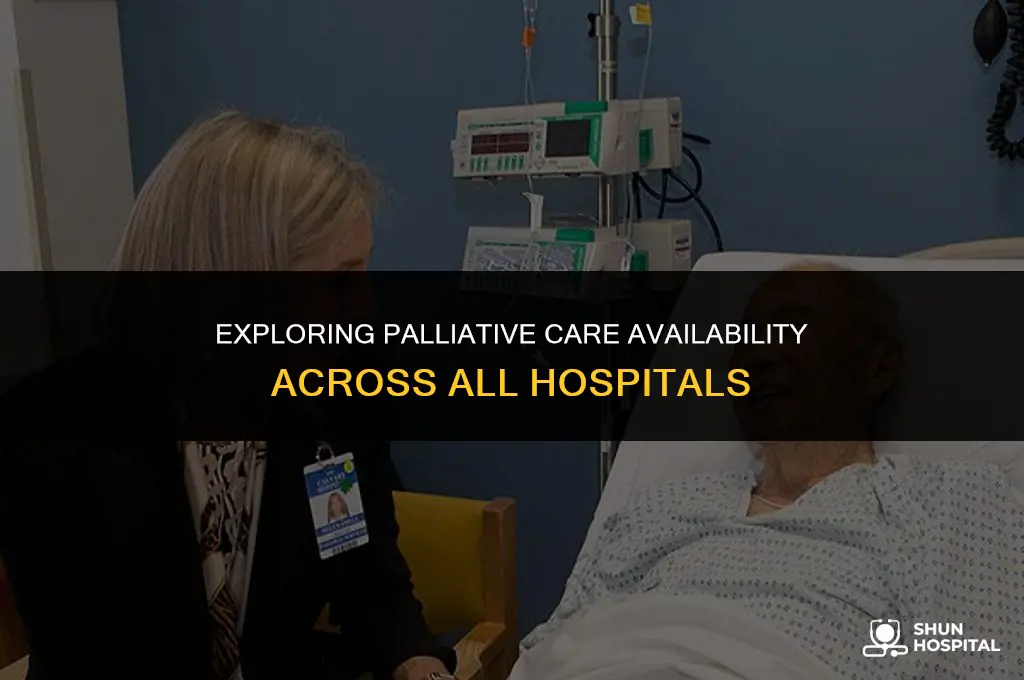 do all hospitals have palliative care