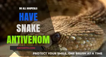 Decoding the Myth: Universal Availability of Snake Antivenom in Hospitals