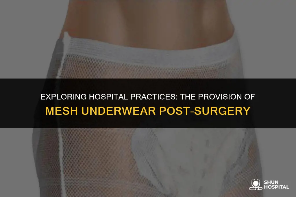 do all hospitals provide mesh underwear