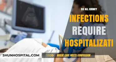 Understanding Kidney Infections: When Hospitalization May Be Necessary