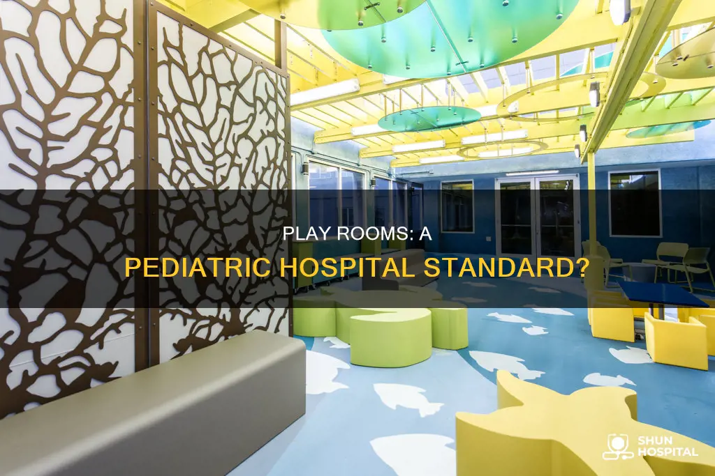 do all pediatric hospitals have play rooms