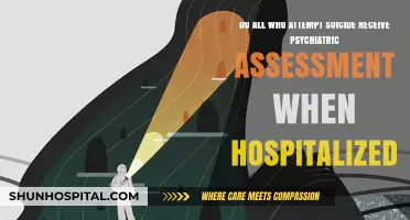 Suicide Attempts and Hospitalization: Are Psychiatric Assessments Always Conducted?