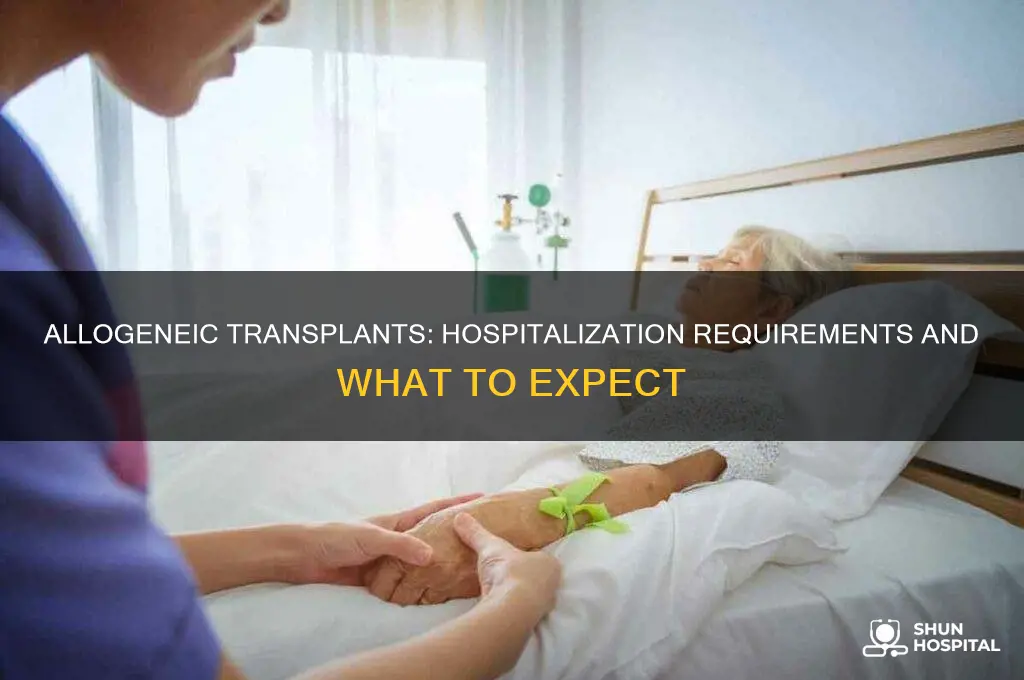 do allogeneic transplants require hospitalization