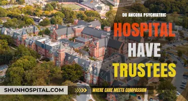 Exploring the Role of Trustees in Modern Psychiatric Hospitals