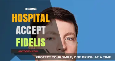 Do Animal Hospitals Accept Fidelis Insurance? A Pet Owner's Guide