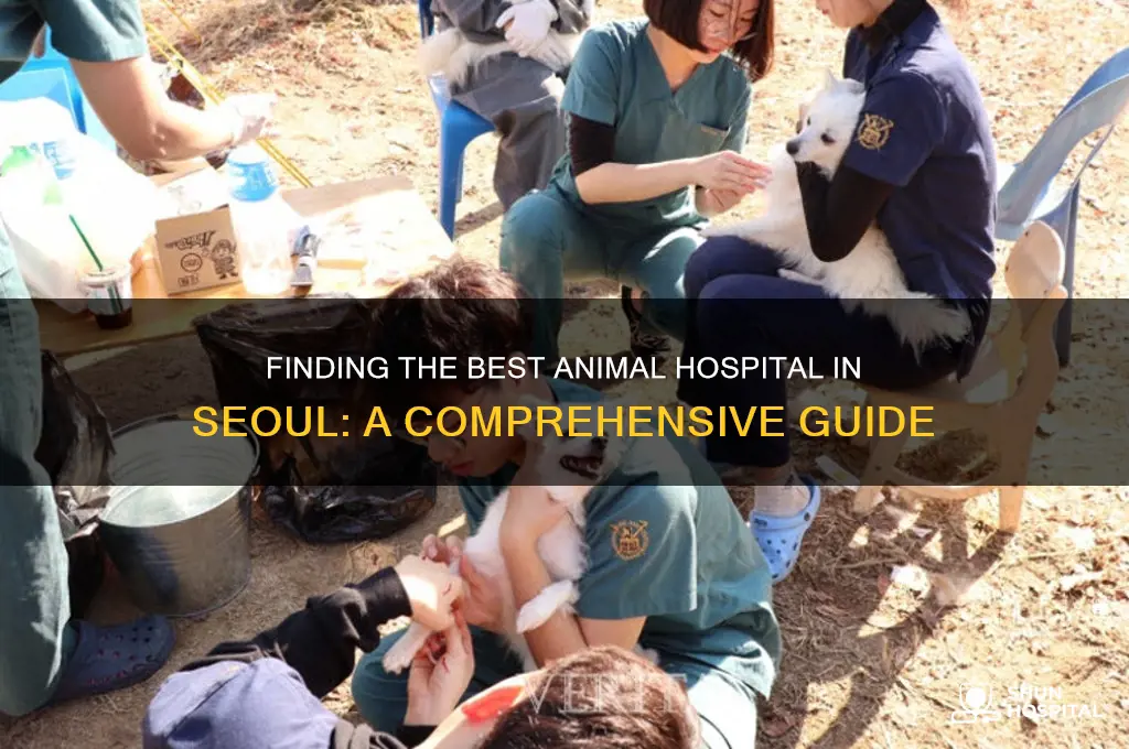 do animal hospital seoul