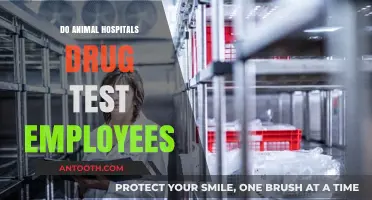 Do Animal Hospitals Conduct Drug Tests on Employees?