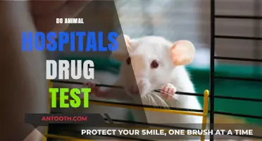 Do Animal Hospitals Conduct Drug Tests on Employees? Facts Revealed