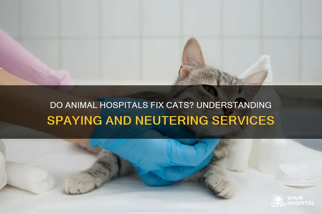 do animal hospitals fix cats