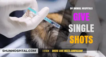 Do Animal Hospitals Administer Single Shots? A Comprehensive Guide