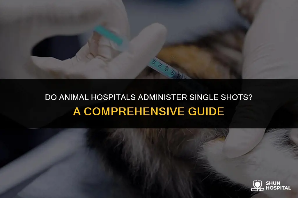 do animal hospitals give single shots