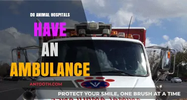 Do Animal Hospitals Have Ambulances? A Comprehensive Guide for Pet Owners