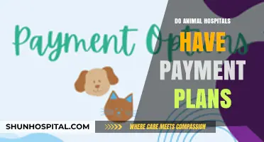 Exploring Payment Options: Do Animal Hospitals Offer Plans?