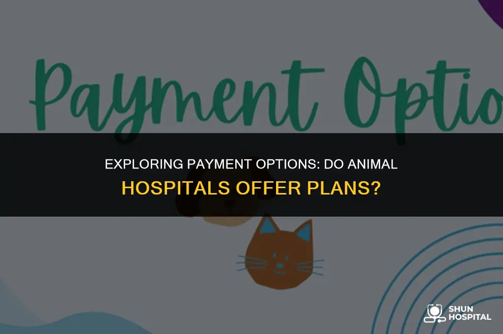 do animal hospitals have payment plans