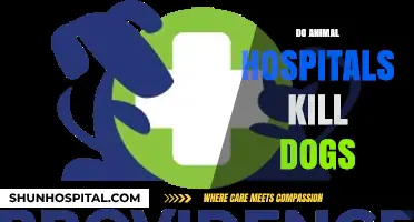 Do Animal Hospitals Euthanize Dogs? Uncovering the Truth and Facts