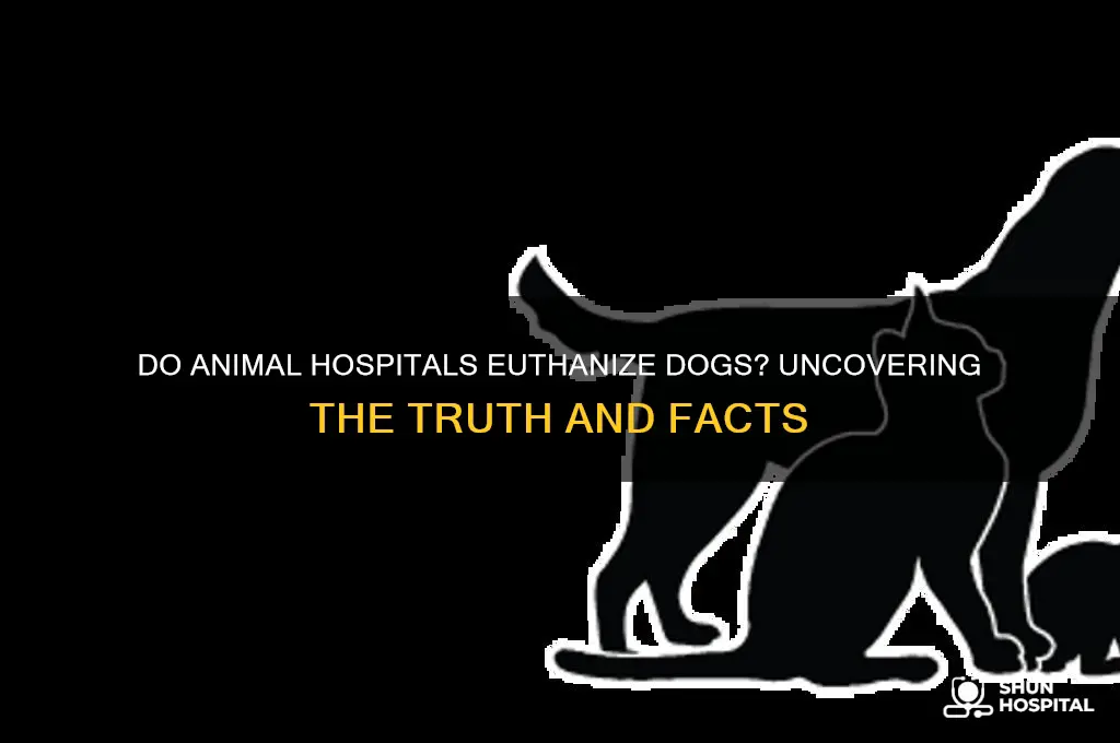 do animal hospitals kill dogs