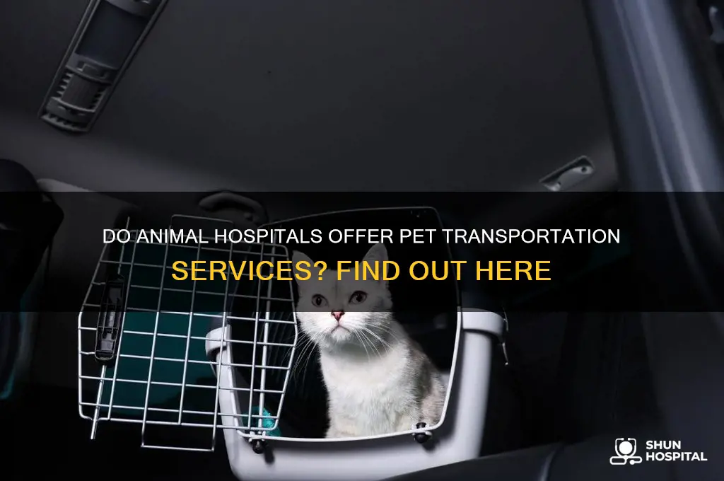 do animal hospitals provide transportation