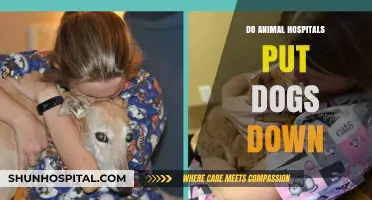 Compassionate Care or Euthanasia? Inside Animal Hospitals' Difficult Decisions