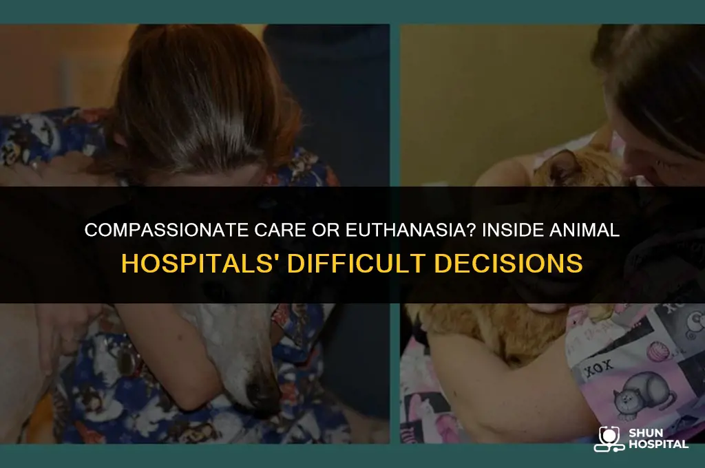 do animal hospitals put dogs down