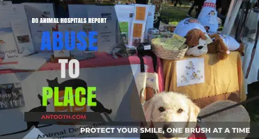 Animal Hospitals: Reporting Abuse and Neglect