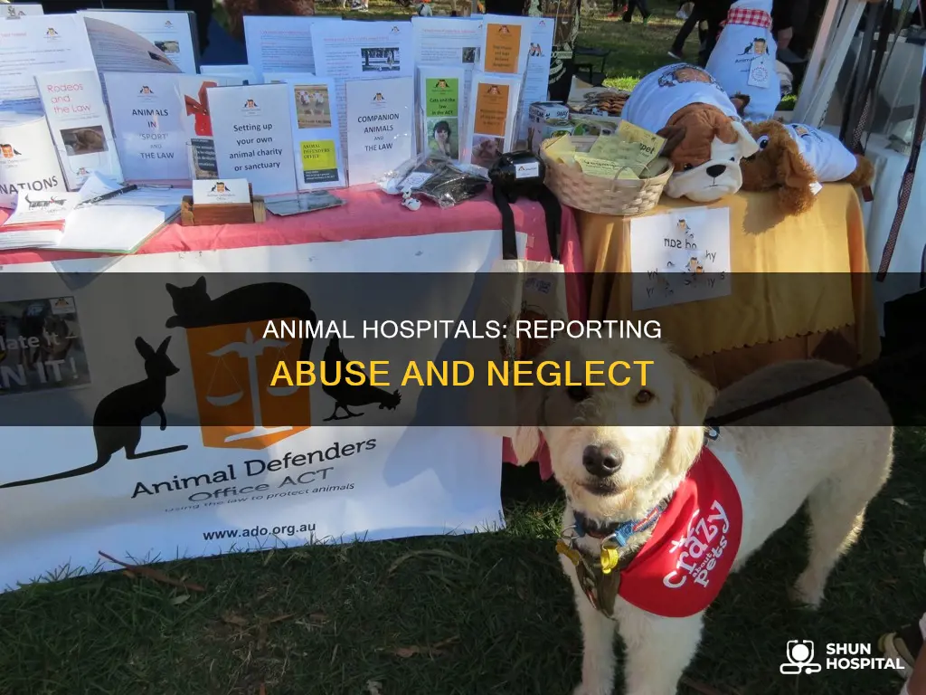 do animal hospitals report abuse to place