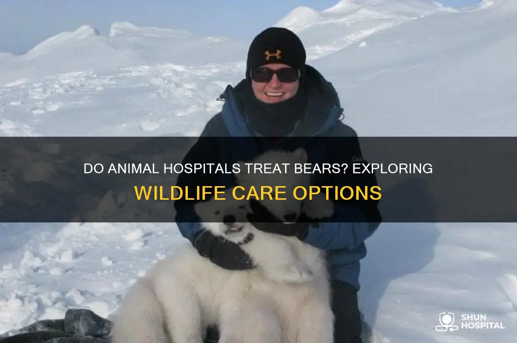 do animal hospitals treat bears