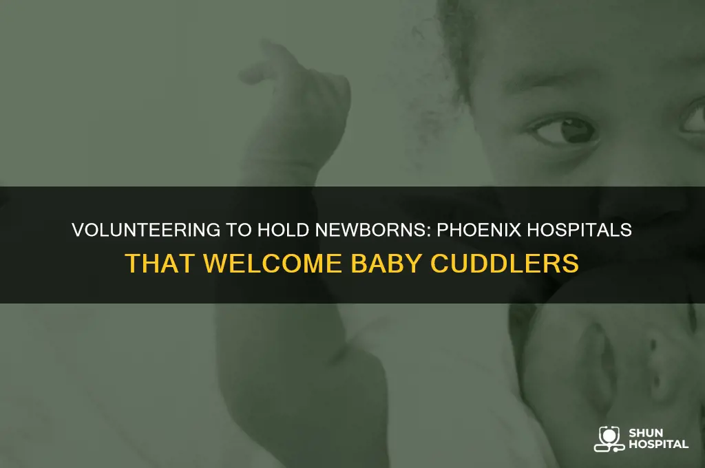 do any hospitals in phoenix accept volunteers to hild newborns