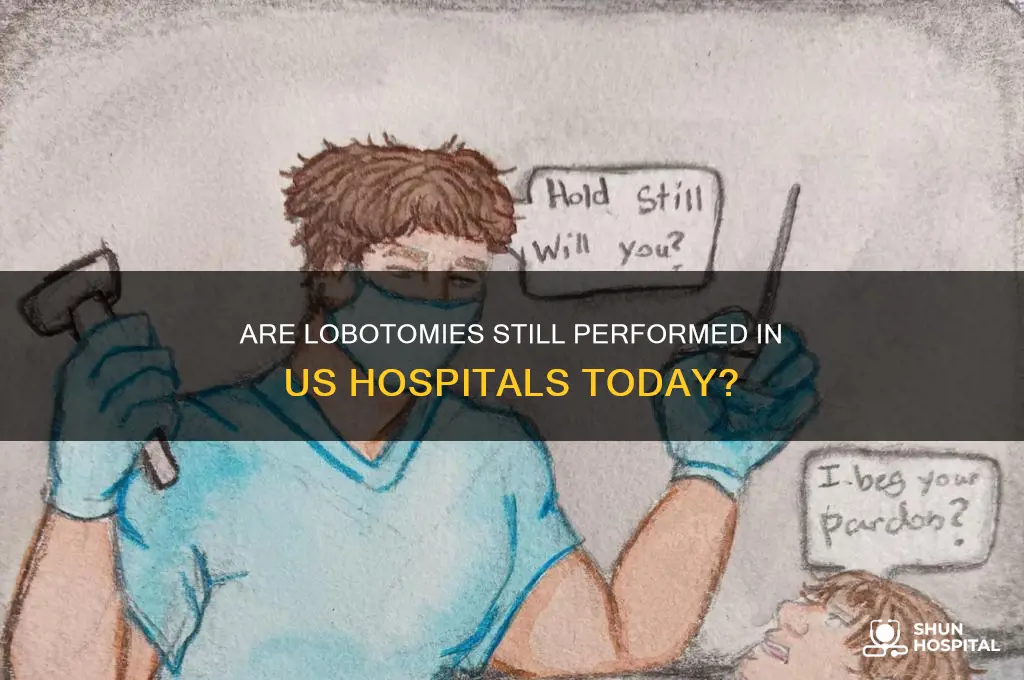do any hospitals in the united states give lobotomys