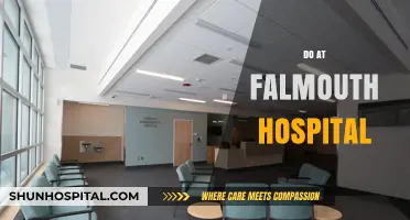Exploring Top Medical Services and Patient Care at Falmouth Hospital
